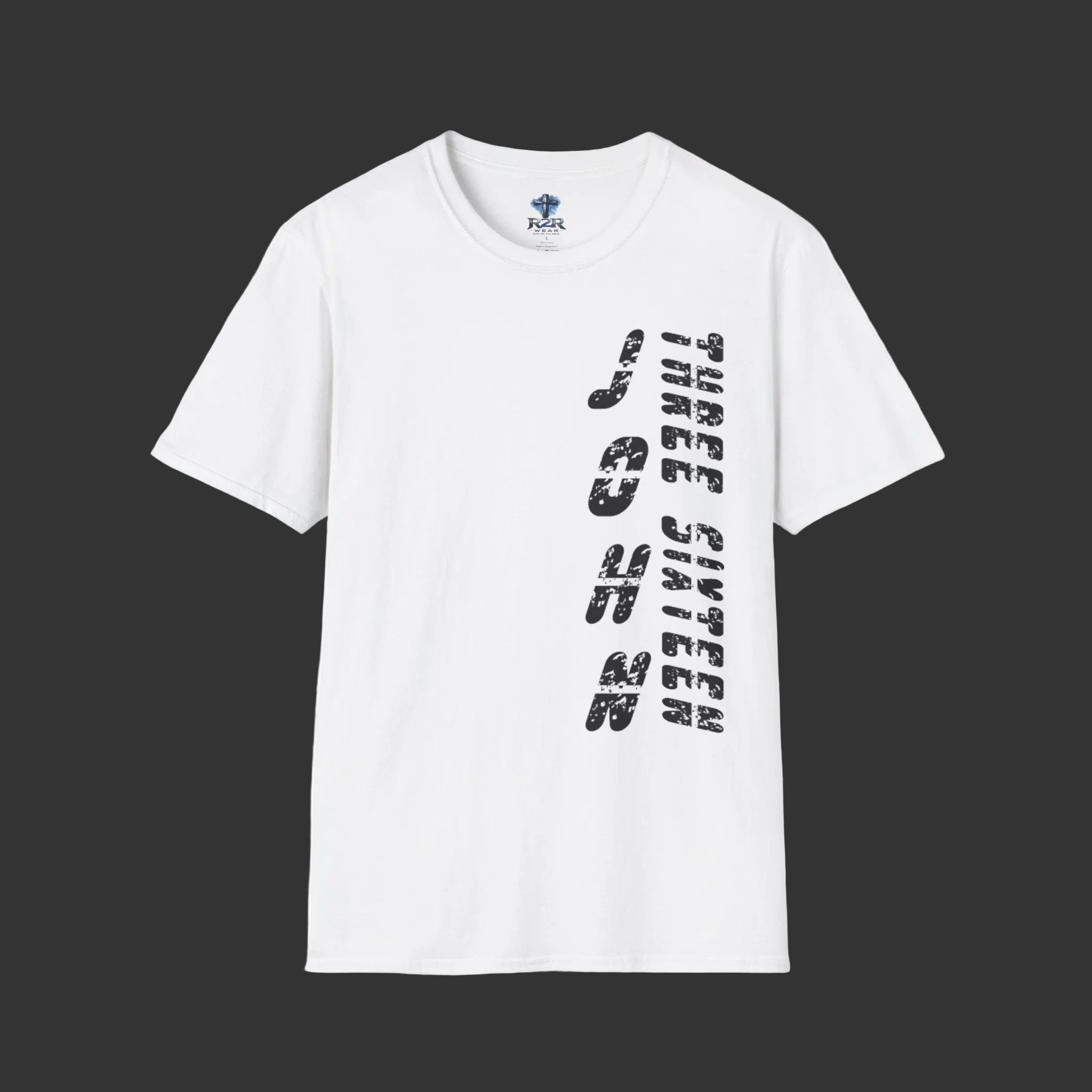 John 3:16 Unisex Softstyle T-Shirt